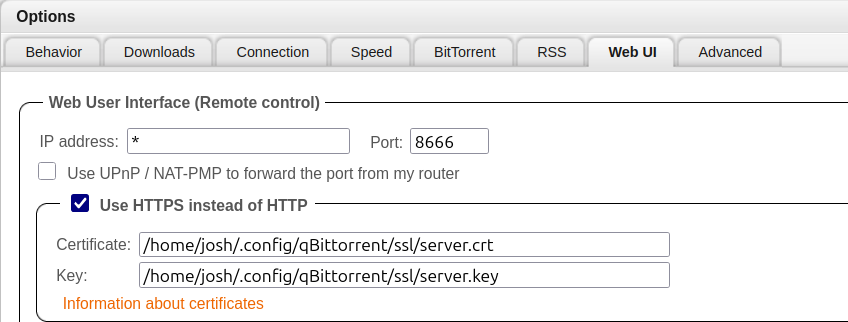 qbittorrent-webui-options.png